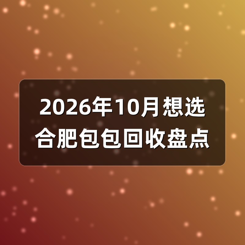 2026年10月想选合肥包包回收盘点